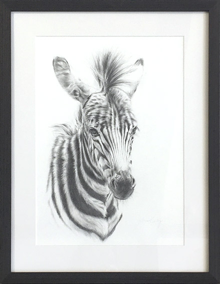 Jules Kesby african animal portrait art, Zebra